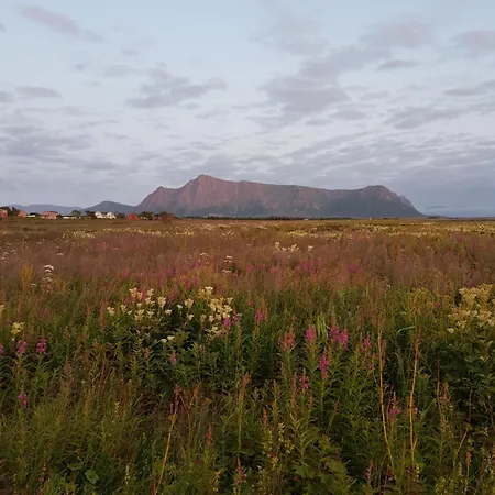 Marmelkroken As Kompleks wypoczynkowy
